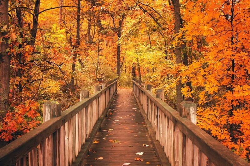 Travel IR Tech Job in Burlingame, CA
