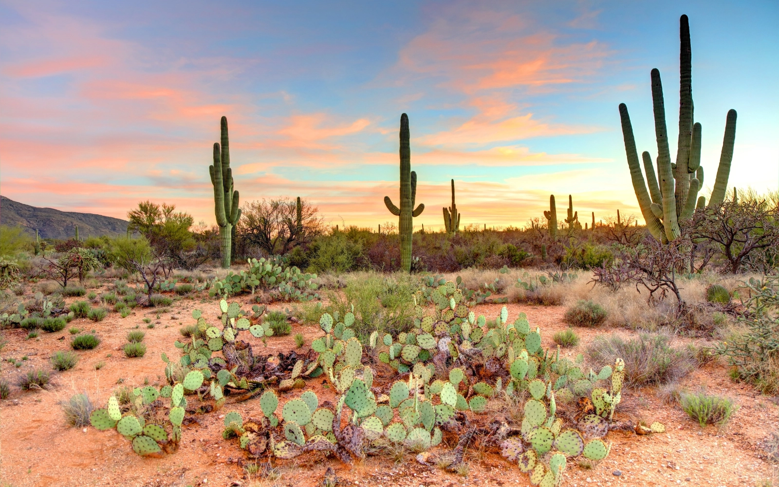 644ab7c104d642b288be8fa3 The 5 Best States for Travel Nursing This Winter Arizona 2