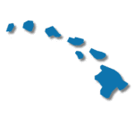 Hawaii Nursing License